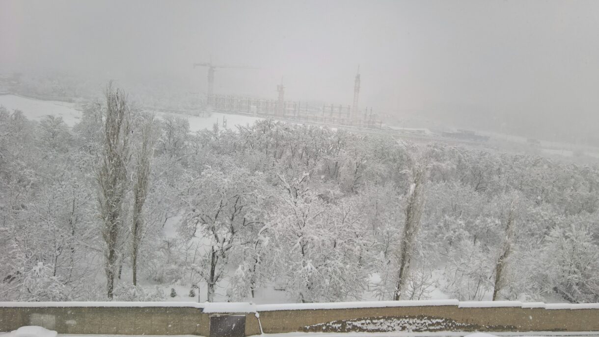 snow atop a building